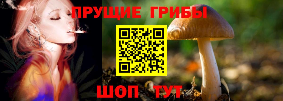 Галлюциногенные грибы Cubensis  Псилоцибиновые грибы мицелий  Вход с VPN  Ставрополь 